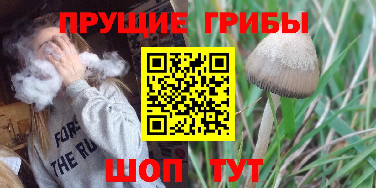 Псилоцибиновые грибы MAGIC MUSHROOMS Лесной