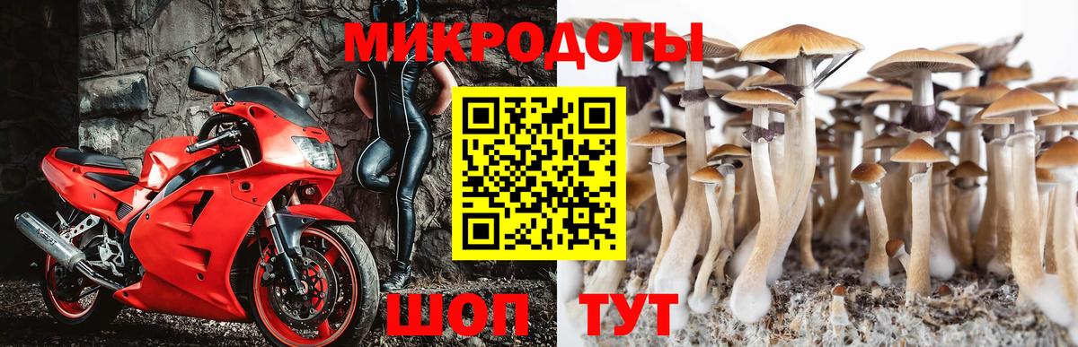 Псилоцибиновые грибы мухоморы  Псилоцибиновые грибы прущие грибы  Вход с VPN  Лесной 